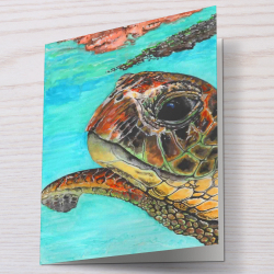 Sea Turtle - Greeting Card - Sea Turtle Art - A6