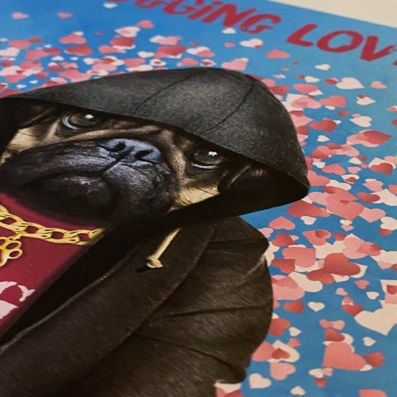 I pugging love you pug in clothes Valentine's Day card for wife, husband, girlfriend, boyfriend (Animalyser) (Size A6/A5/A4/Square 6x6") - A6: Single card