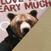 I love you beary much bear in clothes anniversary, love, bear pun card for wife, husband, partner (Animalyser) (Size A6/A5/A4/Square 6x6") - A6: Single card