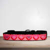 Valentine's Day Pink Reto Candy Hearts Dog/Puppy Collar - Small (29cm-46cm)