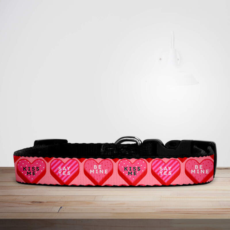 Valentine's Day Pink Reto Candy Hearts Dog/Puppy Collar - Small (29cm-46cm)