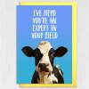 I've herd you're an expert in your field funny cow, farm animal, pun congratulations, graduation, well done card (Size A6/A5/A4/Square 6x6") - A6: Single card