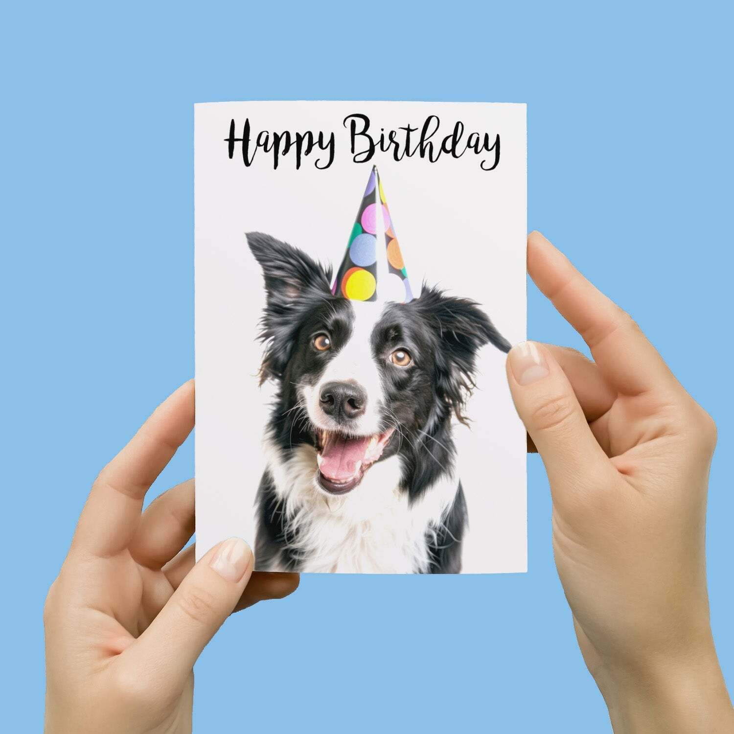 Birthday Card For Him or Her Fun Birthday Card of A Collie Dog Happy Birthday Card For Mum, Dad, Sister Brother - Small (4x6) / Blank Message