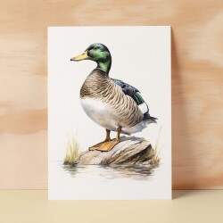 Duck Notelet Card For Anyone Any Occasion Card For Her or For Him 5x7, A6 Card For Birthday or Easter Card Thank You Card Wildlife - Small (4x6) / Blank Message