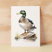 Duck Notelet Card For Anyone Any Occasion Card For Her or For Him 5x7, A6 Card For Birthday or Easter Card Thank You Card Wildlife