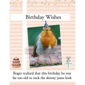Birthday Card - Robin