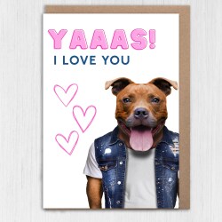 Yaaas! I love you Staffy Staffordshire Bull Terrier dog cute, funny anniversary card for wife, husband (Animalyser) Size A6/A5/A4/Square - A6: Single card