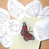 English Butterfly Stick and Stitch Washable Transfers, Peacock, Red Admiral, Orange Tip, Meadow Brown,  Common Blue, Painted Lady, Brimstone