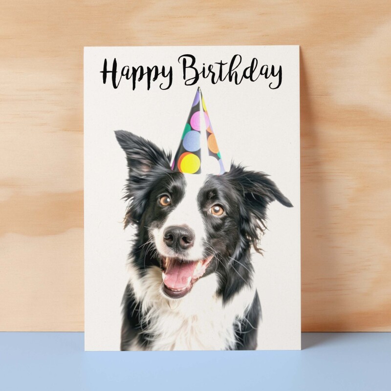 Birthday Card For Him or Her Fun Birthday Card of A Collie Dog Happy Birthday Card For Mum, Dad, Sister Brother - Small (4x6) / Blank Message