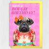 Have a Bougie Birthday pug dog animal in clothes card for female, girlfriend, wife, partner, girl, gal pal (Animalyser) Size A6/A5/A4/Square - A6: Single card