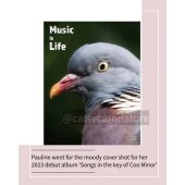 Birthday Card - Music Pigeon Funny Pun