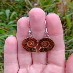 Brown ammonite earrings - Inspiration