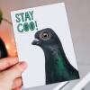 Funny pigeon, bird stay cool birthday card for children, child, boy, girl, grandson, granddaughter: Stay coo! (Size A6/A5/A4/Square 6x6") - A6: Single card