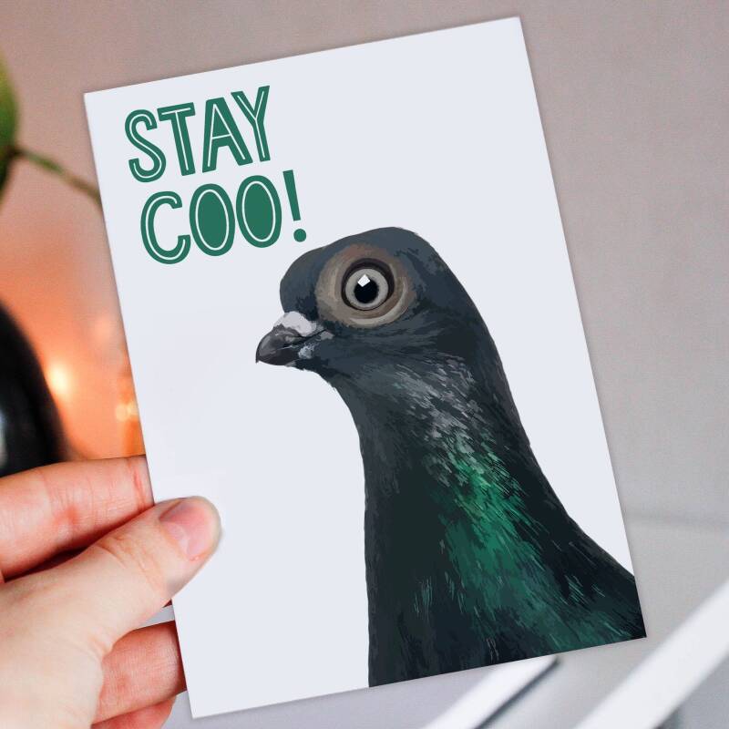 Funny pigeon, bird stay cool birthday card for children, child, boy, girl, grandson, granddaughter: Stay coo! (Size A6/A5/A4/Square 6x6") - A6: Single card