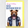 It's your birthday, go bonkers Staffy Staffordshire Bull Terrier dog, pet cute, funny birthday card (Animalyser) Size A6/A5/A4/Square - A6: Single card