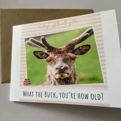 Birthday Card - Deer Humour Funny