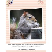 Birthday Card Squirrel Humour Pun Funny
