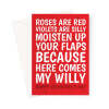 Rude Valentine's Day Card For Her - Moisten Your Flaps Here Comes Willy - A5 Portrait - 1 Card