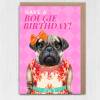 Have a Bougie Birthday pug dog animal in clothes card for female, girlfriend, wife, partner, girl, gal pal (Animalyser) Size A6/A5/A4/Square - A6: Single card