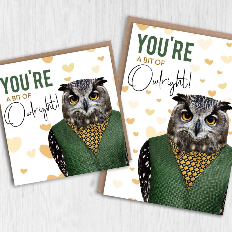 You're a bit of owlright owl in clothes Valentine’s Day card for wife, husband, boyfriend, girlfriend (Animalyser) Size A6/A5/A4/Square 6x6" - A6: Single card