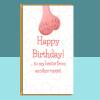 Funny Bestie Birthday Card - Personalised Best Friend Card - Ideal rude card for your mate - Blank inside - Regular - Matte