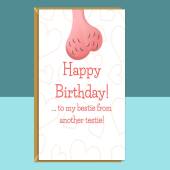 Funny Bestie Birthday Card - Personalised Best Friend Card - Ideal rude card for your mate