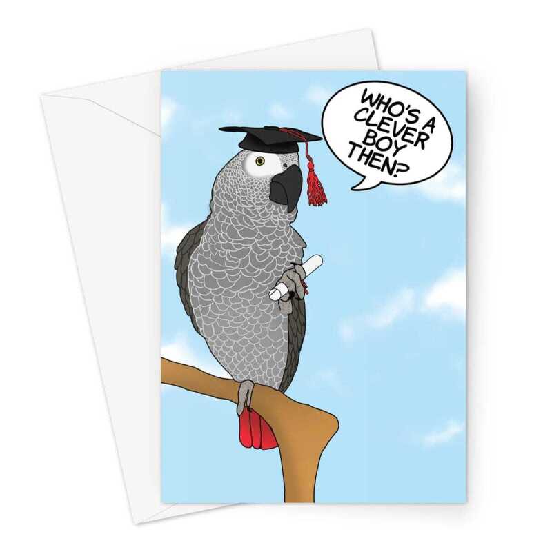 Congratulations Card - Funny Graduation Who's A Clever Boy? - A5 Portrait - 1 Card