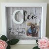Personalised pet loss box frame,cat loss frame,cat memorial frame,dog loss frame - Without lights - Without  crystals