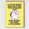 A little birdie told me it was your birthday, now there’s no more little birdie card - A6: Single card