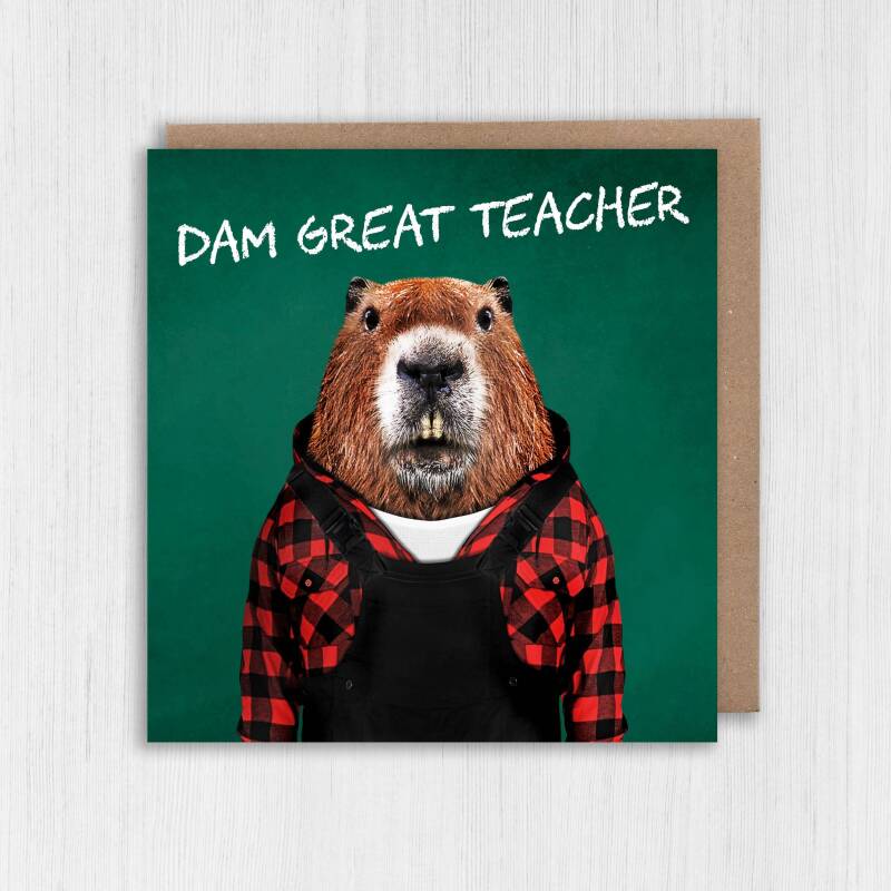 Dam, damn great teacher beaver in clothes teacher gratitude, school, education thank you card (Animalyser) (Size A6/A5/A4/Square 6x6") - A6: Single card