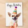 Birthday Card For Her Card For Friend Mum or Sister Birthday Card For Him Brother Dad Happy Birthday Card of Chihuahua Dog Fun Birthday Card - Small (4x6) / Blank Message