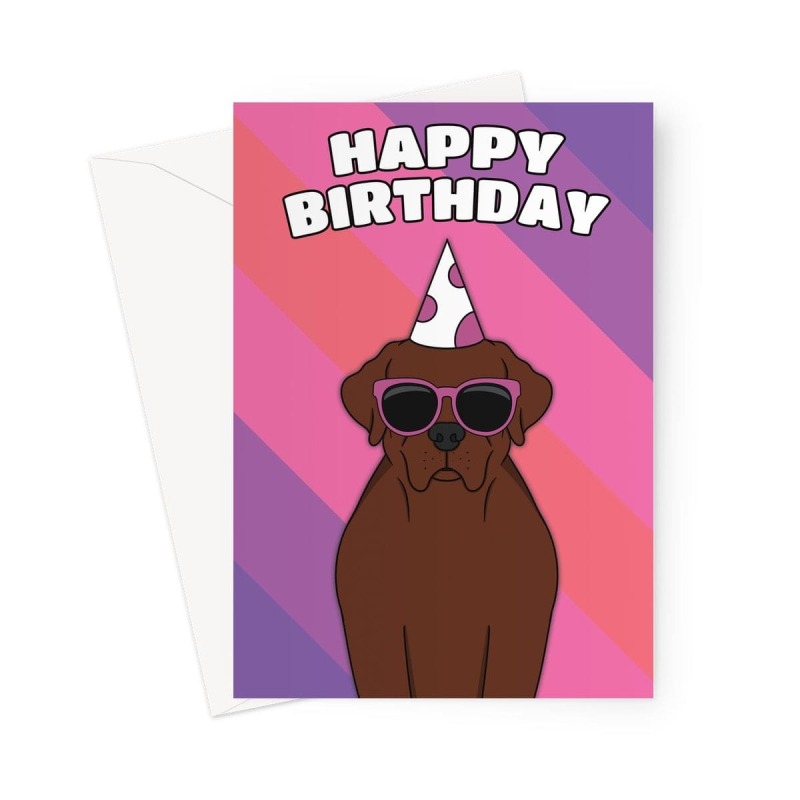 Chocolate Labrador Dog Birthday Card - A5 Portrait - 1 Card