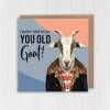 Happy birthday you old goat funny goat in clothes birthday card for old person, old lady, old man (Animalyser) (Size A6/A5/A4/Square 6x6") - A6: Single card