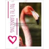 Flamingo Card Anniversary Birthday Love Friendship