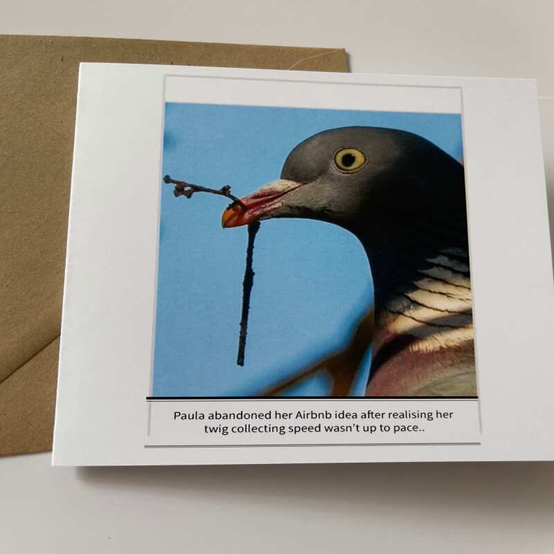 New Home Pigeon Card Funny Humour Pun