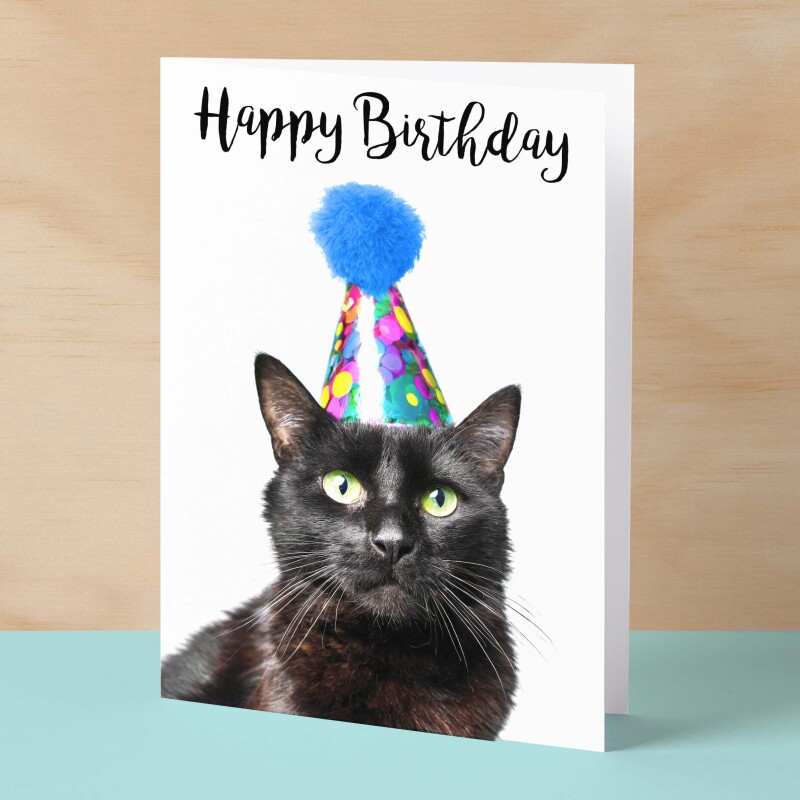 Birthday Card For Her Card For Friend Mum or Sister Birthday Card For Him Brother Dad Happy Birthday Card of Black Cat Fun Birthday Card - Small (4x6) / Blank Message