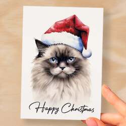 Cat Christmas Card Featuring A Ragdoll Cat Wearing a Santa Hat Fun Christmas Card For Him or Her Christmas Card For Anyone Christmas Gift - Small (4x6) / Blank Message