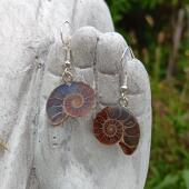 Blue/Green Ammonite earrings - Stability