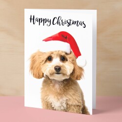 Christmas Card For Him or Her Christmas Card With A Dog Cute Poodle Christmas Card For Anyone Friend Fun Christmas Card of a Dog - Small (4x6) / Blank Message