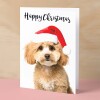 Christmas Card For Him or Her Christmas Card With A Dog Cute Poodle Christmas Card For Anyone Friend Fun Christmas Card of a Dog - Small (4x6) / Blank Message