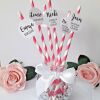 Personalised Hen Night Straws,Bride team straws, Bride squad straws, Hen party - Dark pink &white