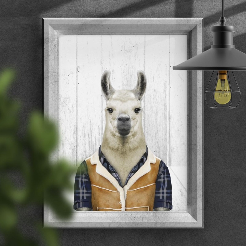 Llama in clothes, animal print, wall art - A5 - Glossy - White wood