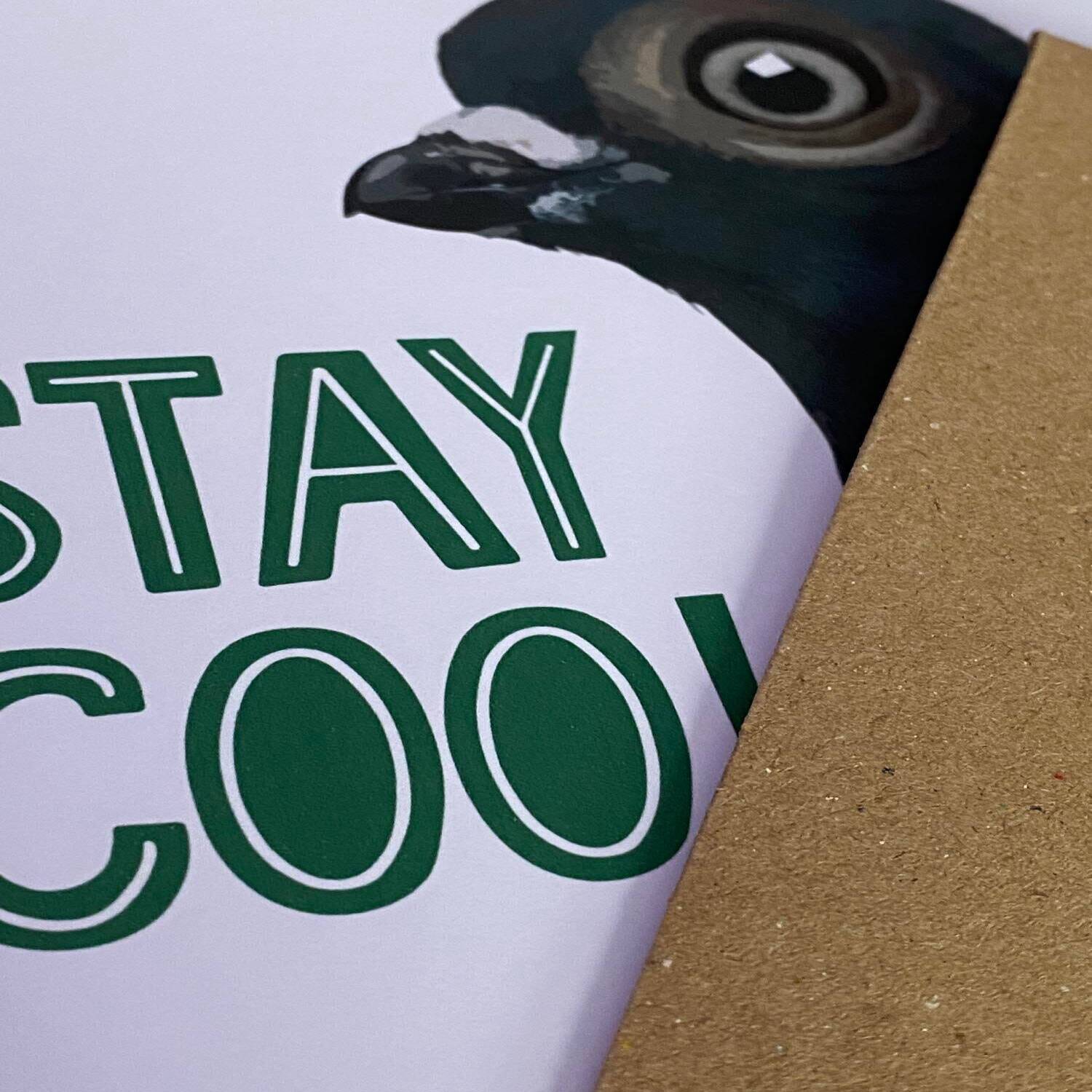 Funny pigeon, bird stay cool birthday card for children, child, boy, girl, grandson, granddaughter: Stay coo! (Size A6/A5/A4/Square 6x6") - A6: Single card