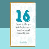 Funny 16th Birthday Card - Personalised - For Him or For Her - For someone turning 16 years old - Greetings Card - Customised if needed