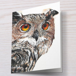 Barn Owl - Greeting Card - Barn Owl Art - A6