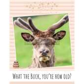 Birthday Card - Deer Humour Funny
