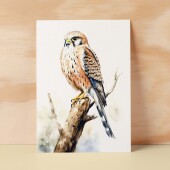 Kestrel Notelet Card For Anyone Any Occasion Card For Her or For Him 5x7, A6 Card For Birthday or Easter Card Thank You Card Wildlife