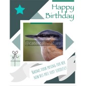 Birthday Card - Nuthatch Funny Pun Humour