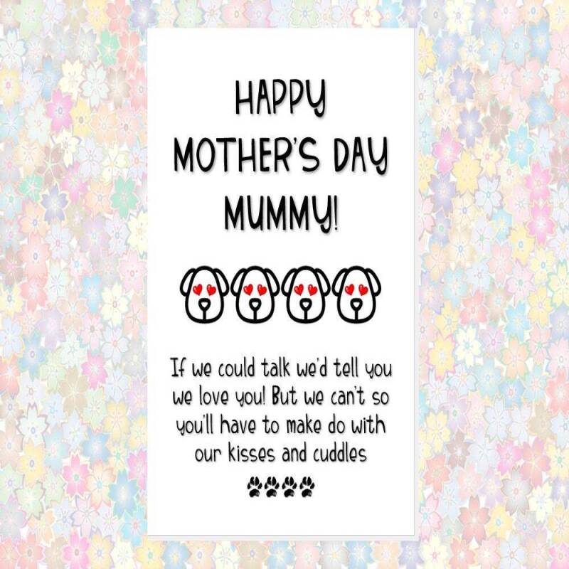 MOTHER'S DAY card from the dog, card from 2 dogs, 3 4 dogs, funny mother's day card, if I we could talk I would tell you I we love you mummy - 1