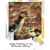 Happy Birthday Sibling Sister Brother Ducklings Favourite